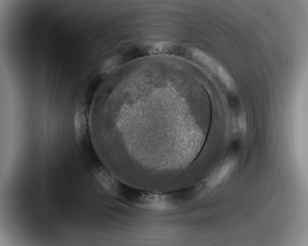 X0000087670276200705111203