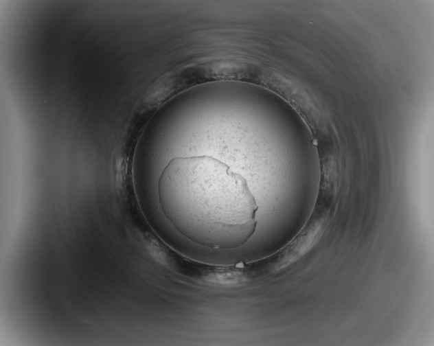 X0000087670278200705111203