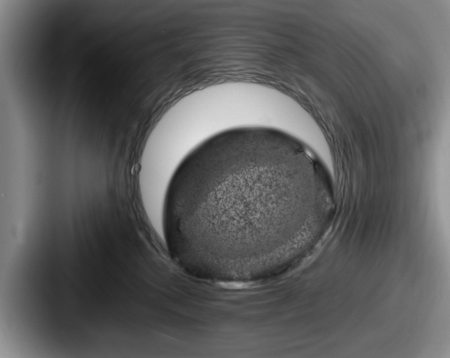 X0000087670280200705111203