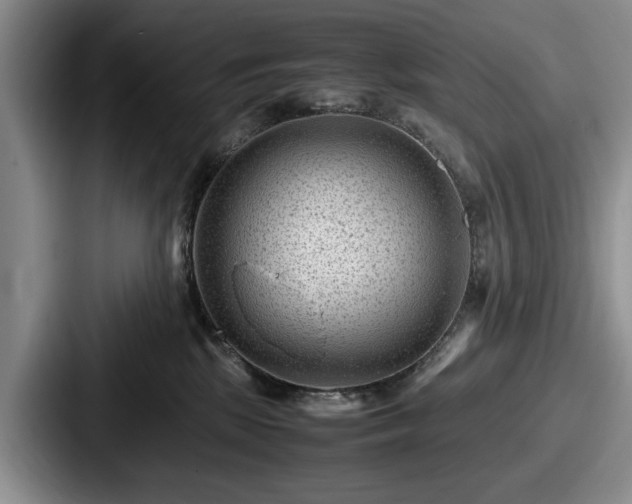 X0000087670281200705111203