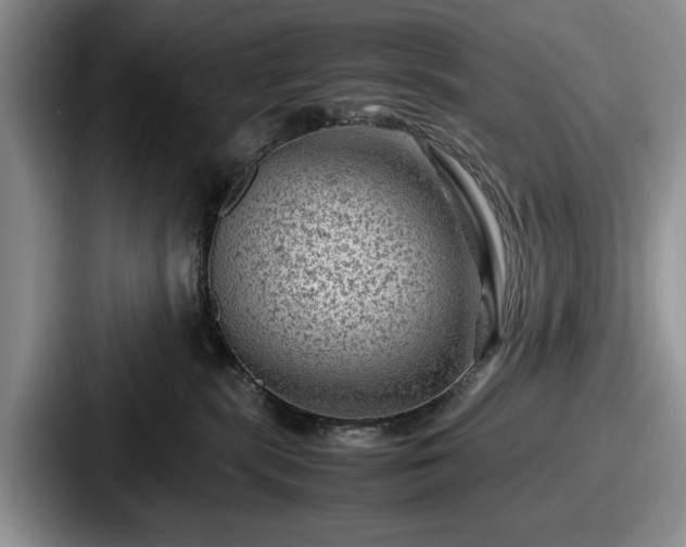 X0000087670283200705111203