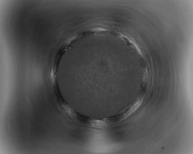 X0000087670285200705111203