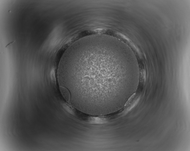 X0000087670286200705111203