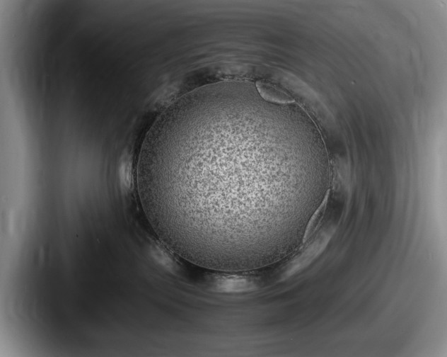 X0000087670287200705111203