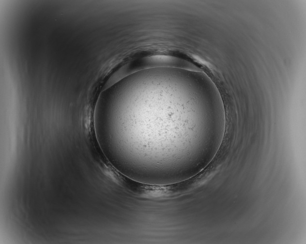 X0000087670288200705111204