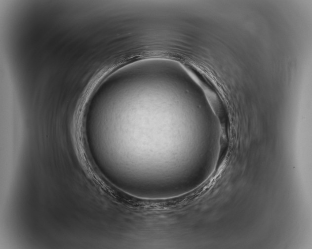 X0000087670289200705111203