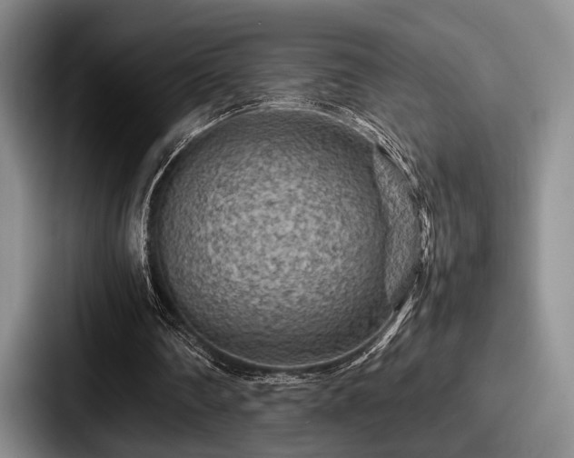 X0000087670290200705111203