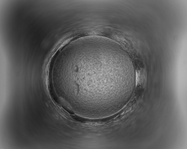 X0000087670291200705111203