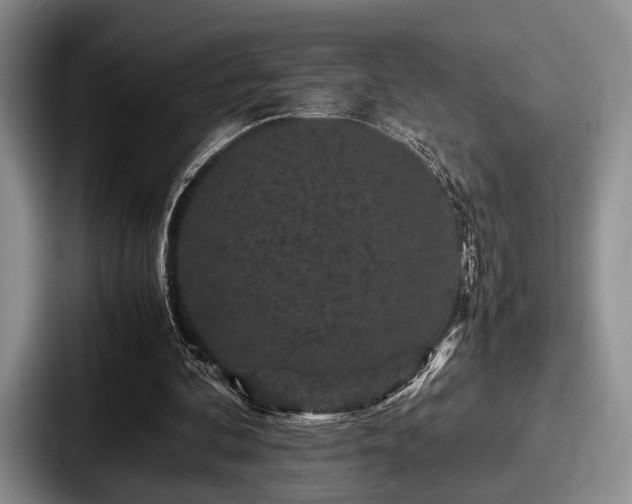 X0000087670292200705111203