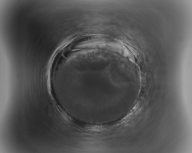 X0000087670293200705111203