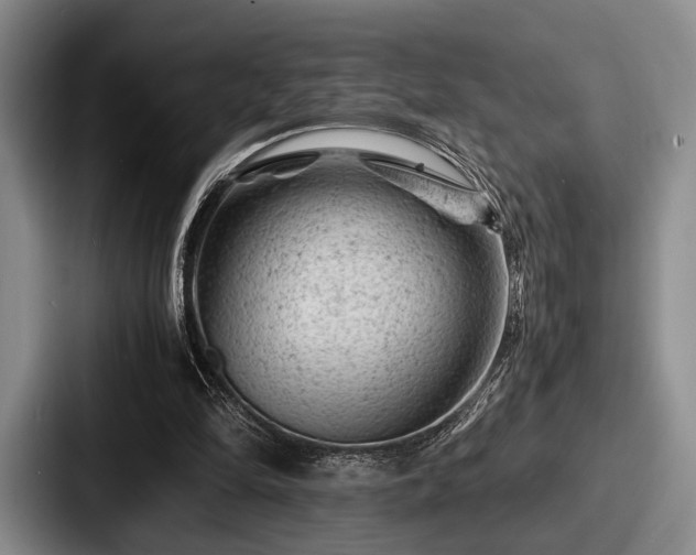 X0000087670294200705111203