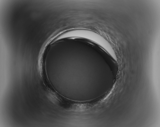 X0000087670295200705111203