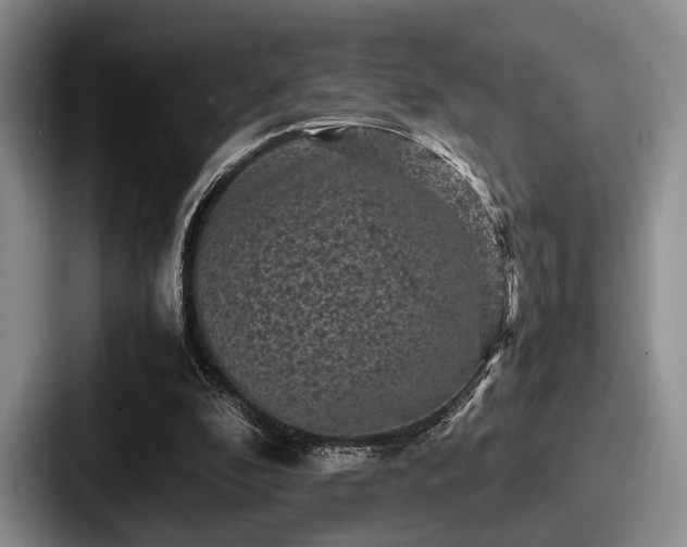 X0000087670296200705111203