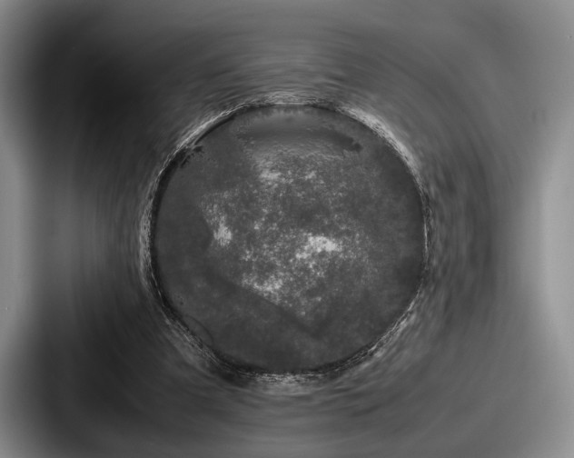 X0000087670297200705111203