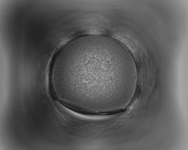 X0000087670299200705111203