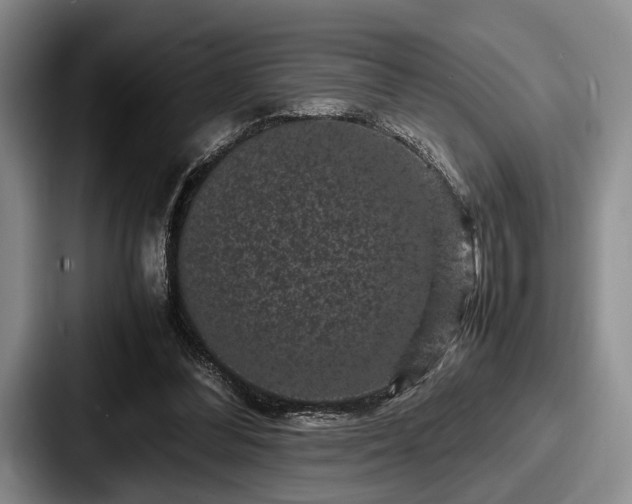 X0000087670300200705111203