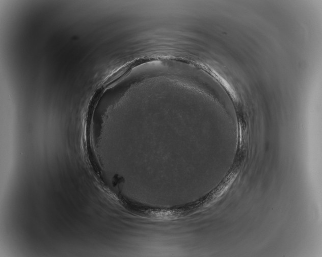 X0000087670301200705111203