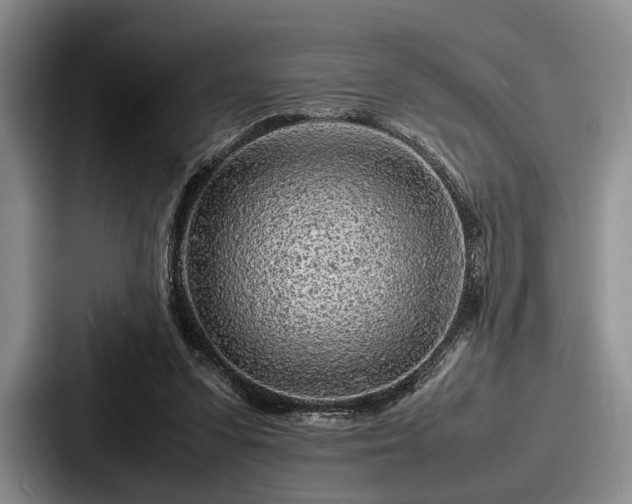 X0000087670303200705111203