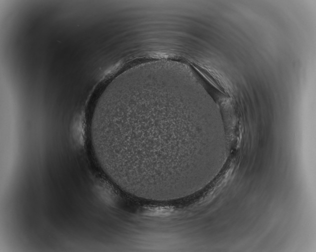 X0000087670304200705111203