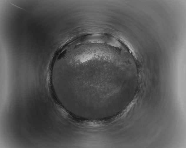 X0000087670305200705111203