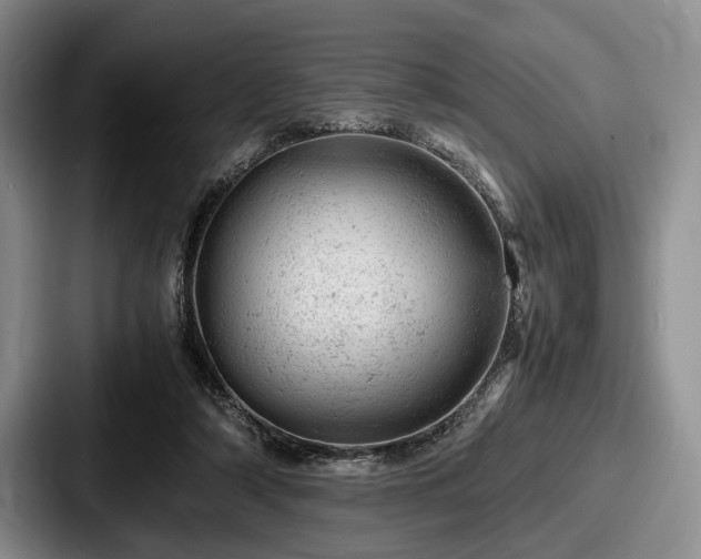 X0000087670306200705111203