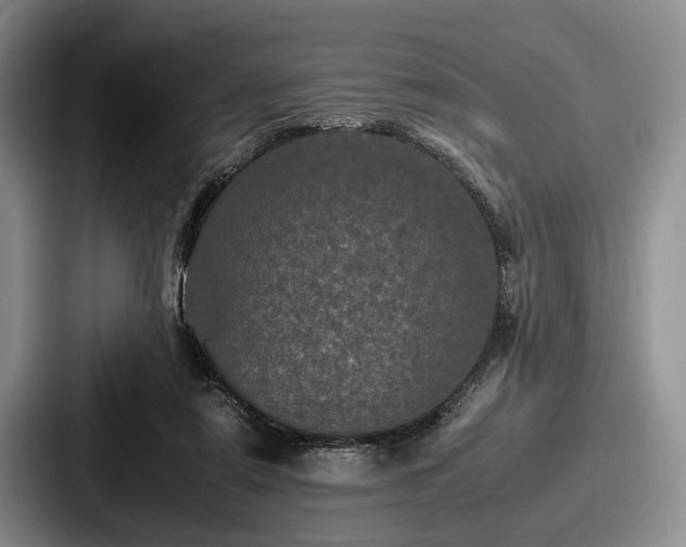 X0000087670307200705111203