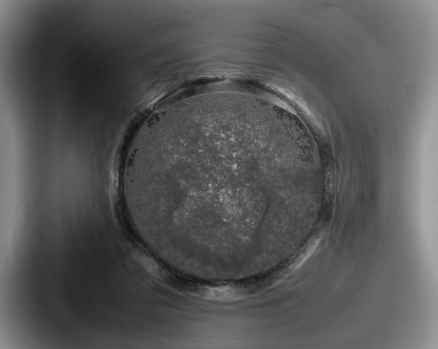 X0000087670309200705111203