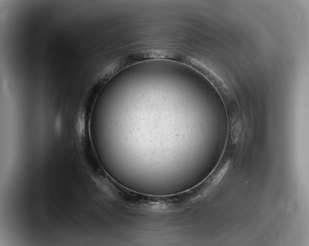 X0000087670310200705111203