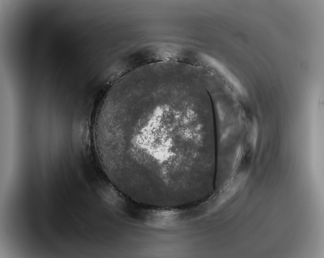 X0000087670313200705111203