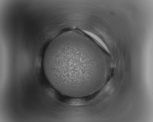 X0000087670315200705111203