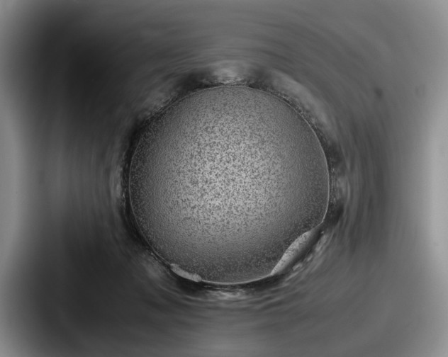 X0000087670317200705111203