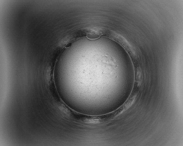 X0000087670318200705111203