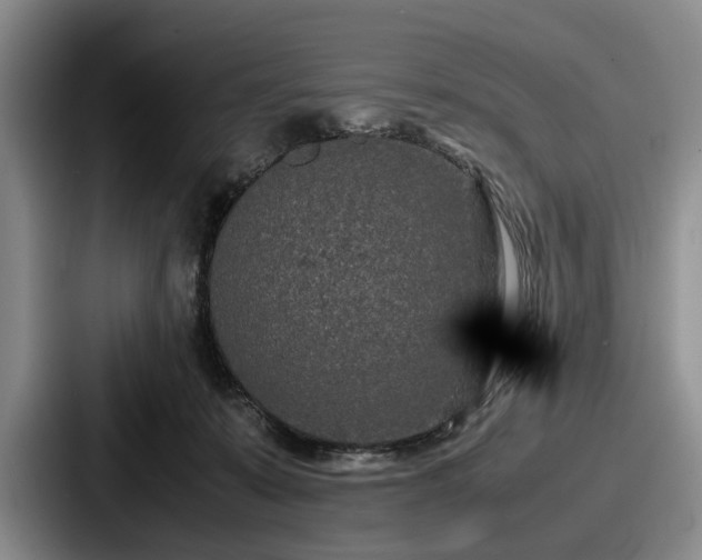 X0000087670319200705111202