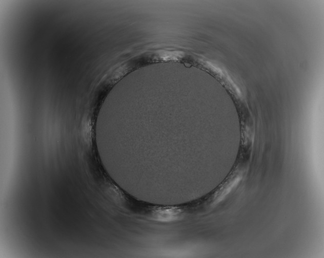 X0000087670321200705111202