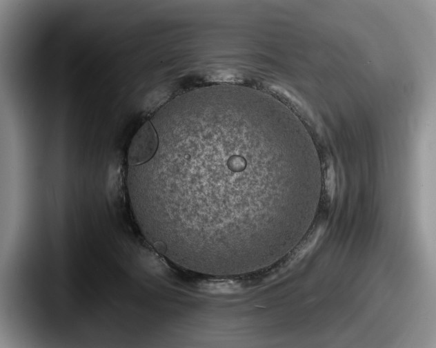 X0000087670322200705111202