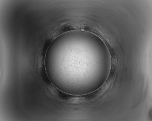 X0000087670323200705111202