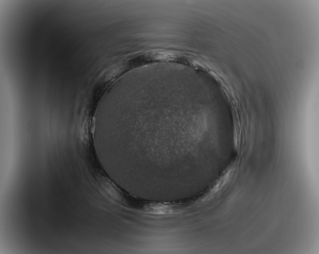 X0000087670325200705111202