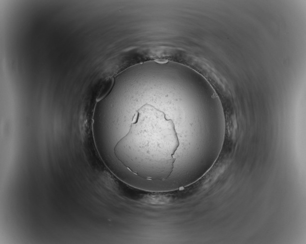 X0000087670327200705111202