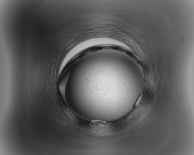 X0000087670329200705111202