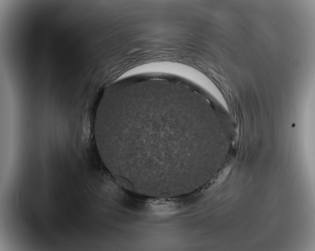 X0000087670331200705111202