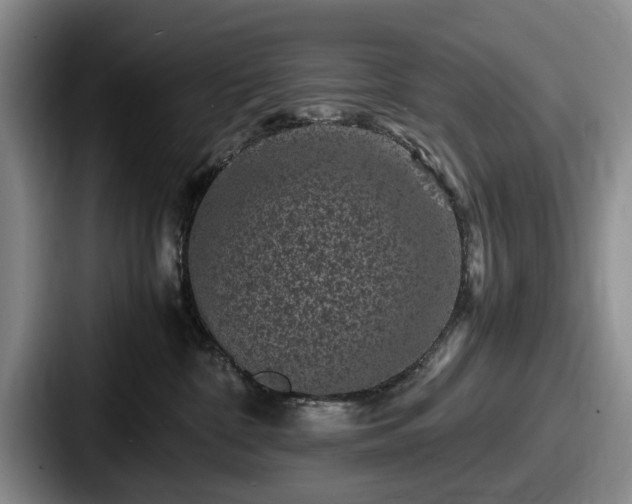 X0000087670332200705111202