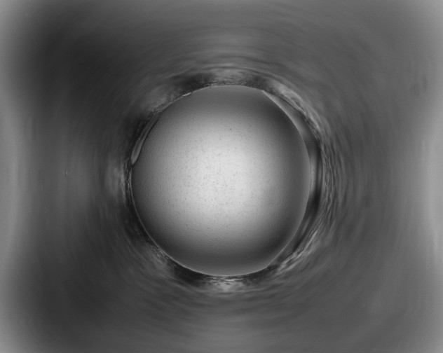 X0000087670333200705111202