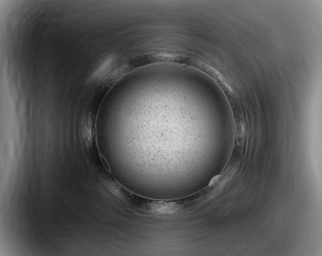 X0000087670334200705111202