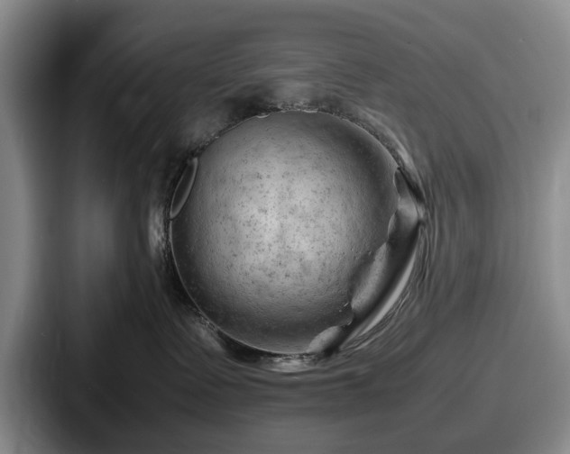 X0000087670335200705111202