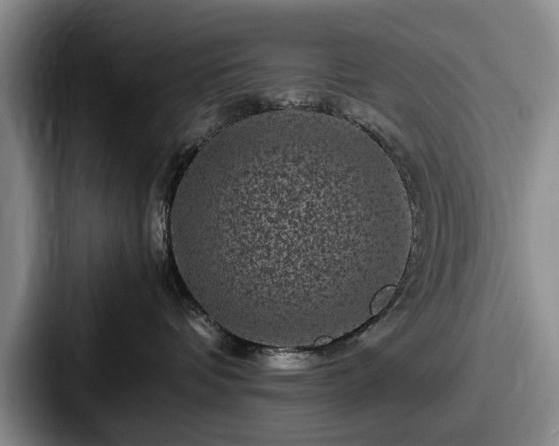 X0000087670336200705111202