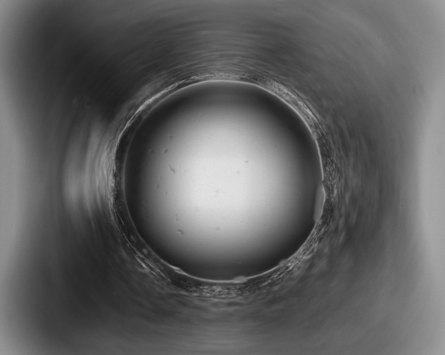 X0000087670338200705111202