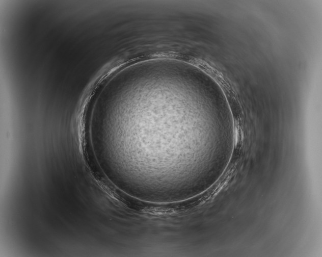 X0000087670339200705111202