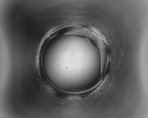 X0000087670340200705111202