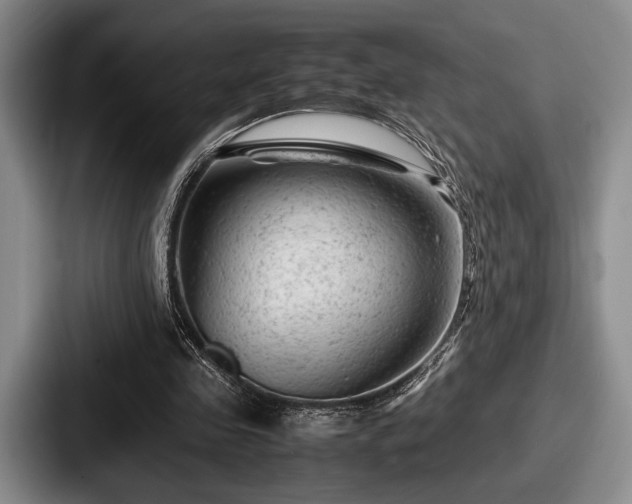 X0000087670341200705111202