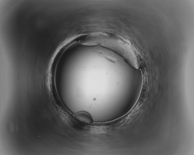 X0000087670342200705111202